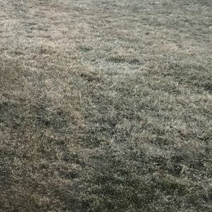 Meet your Posher, Lindsay